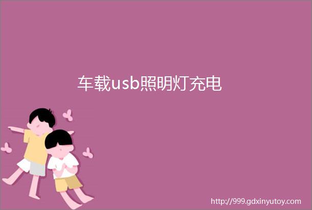 车载usb照明灯充电