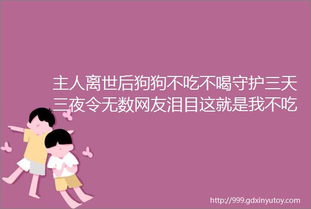 主人离世后狗狗不吃不喝守护三天三夜令无数网友泪目这就是我不吃狗肉的原因