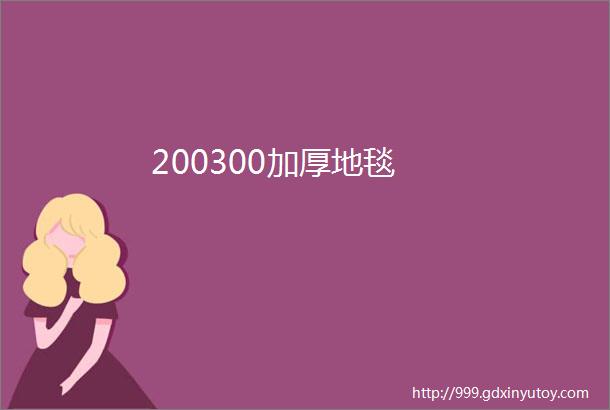 200300加厚地毯