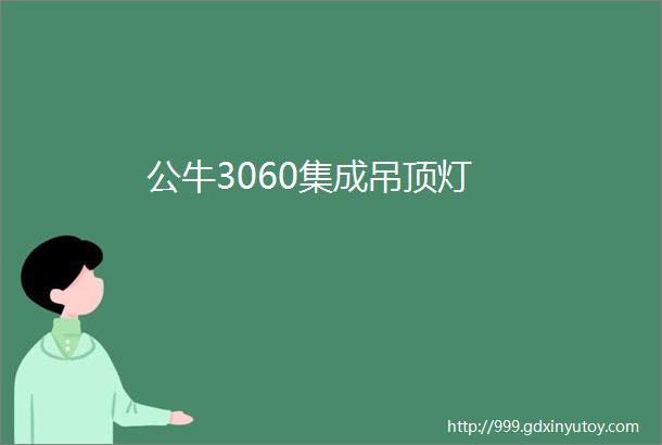 公牛3060集成吊顶灯