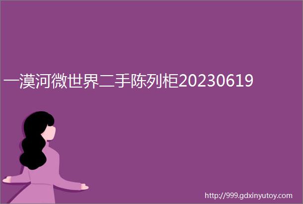 一漠河微世界二手陈列柜20230619