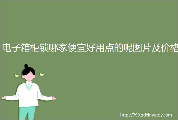 电子箱柜锁哪家便宜好用点的呢图片及价格