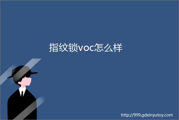 指纹锁voc怎么样