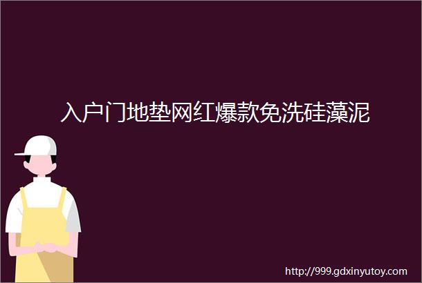 入户门地垫网红爆款免洗硅藻泥