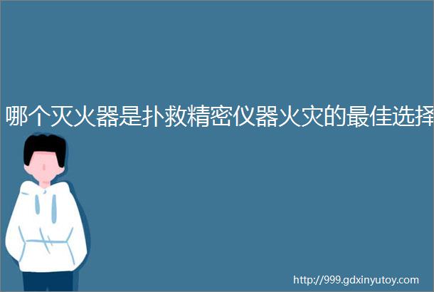 哪个灭火器是扑救精密仪器火灾的最佳选择