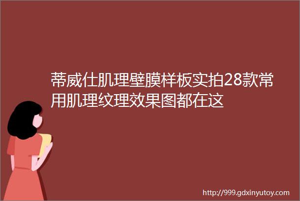 蒂威仕肌理壁膜样板实拍28款常用肌理纹理效果图都在这