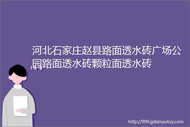 河北石家庄赵县路面透水砖广场公园路面透水砖颗粒面透水砖