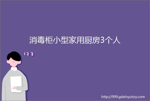 消毒柜小型家用厨房3个人