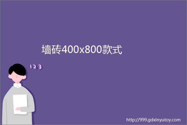 墙砖400x800款式